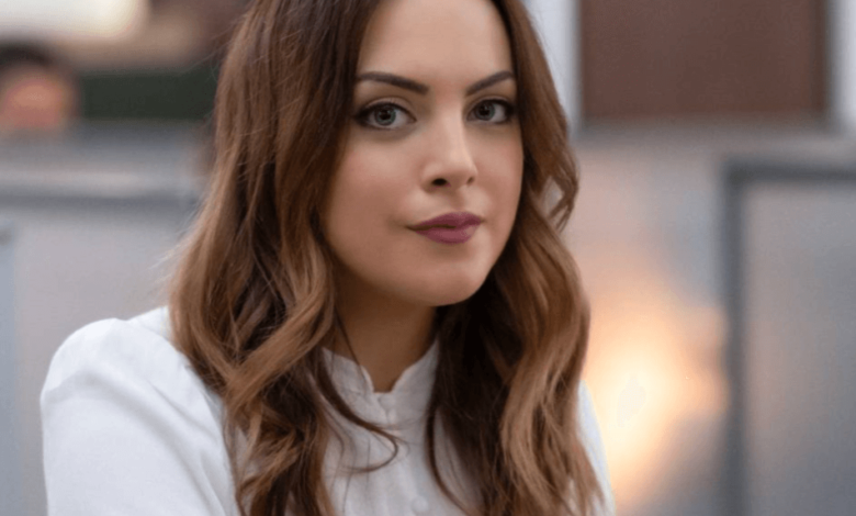 Elizabeth Gillies Net Worth