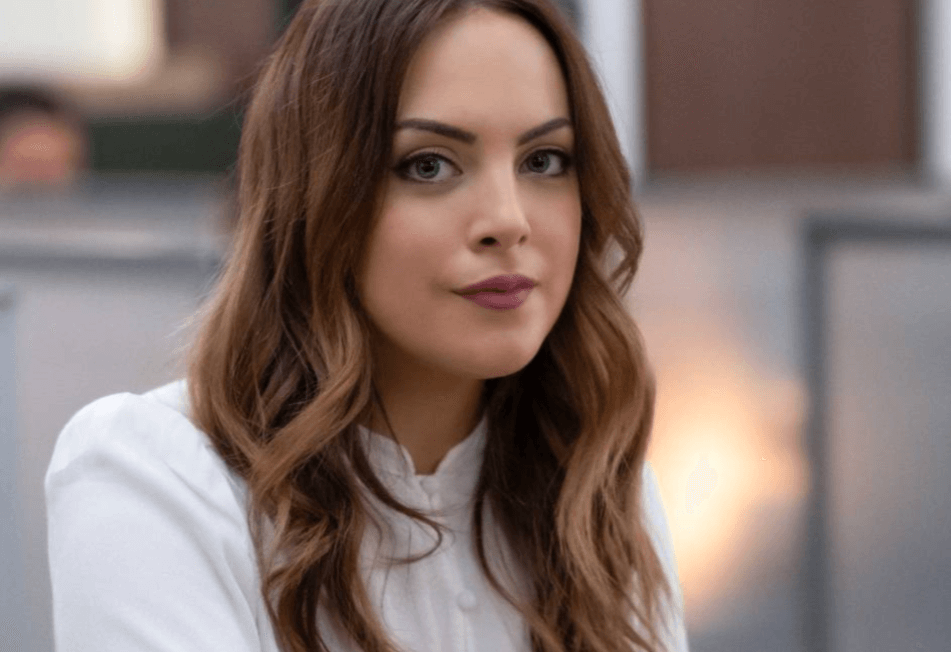 Elizabeth Gillies Net Worth